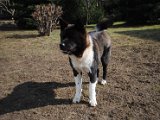 2011_03_27 296.jpg